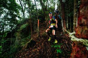 BIB: 
                            <button type="button" onclick="openModal(26197965)" class="btn btn-primary btn-sm float-right btn-popup" data-toggle="modal" data-target=".modal-high-quality">
                        <i class="fas fa-shopping-cart"></i> Add to Cart
                    </button>
                                            <button type="button" onclick="isThisMe(26197965, true)" class="btn btn-success btn-sm float-right btn-popup btn-isme hidden" data-toggle="tooltip" data-placement="bottom" title="นี่คือรูปของคุณใช่ไหม คลิกที่นี่เพื่อเอาเข้าอัลบั้ม">
                        <i class="fas fa-plus"></i> Add to album
                    </button>
                    <button type="button" onclick="isThisMe(26197965, false)" class="btn btn-warning btn-sm float-right btn-popup btn-isnotme hidden">
                        <i class="fas fa-ban"></i> Remove from album
                    </button>